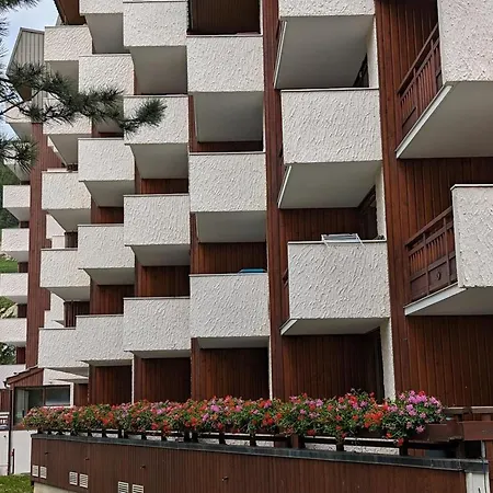 Lumineux, Pied Des Pistes, Animaux Admis Appartement *